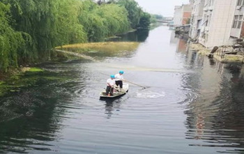 Chemical polluted water ecological restoration project